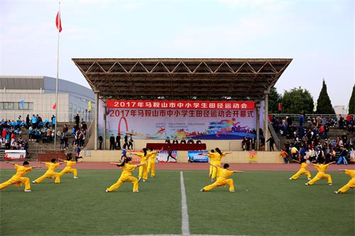 2017��ȫ����Сѧ���ﾶ�˶���¡�ؿ�Ļ